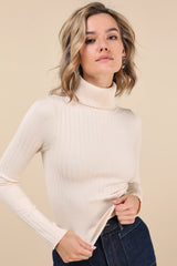 Perfected Comfort Beige Turtleneck Sweater Top